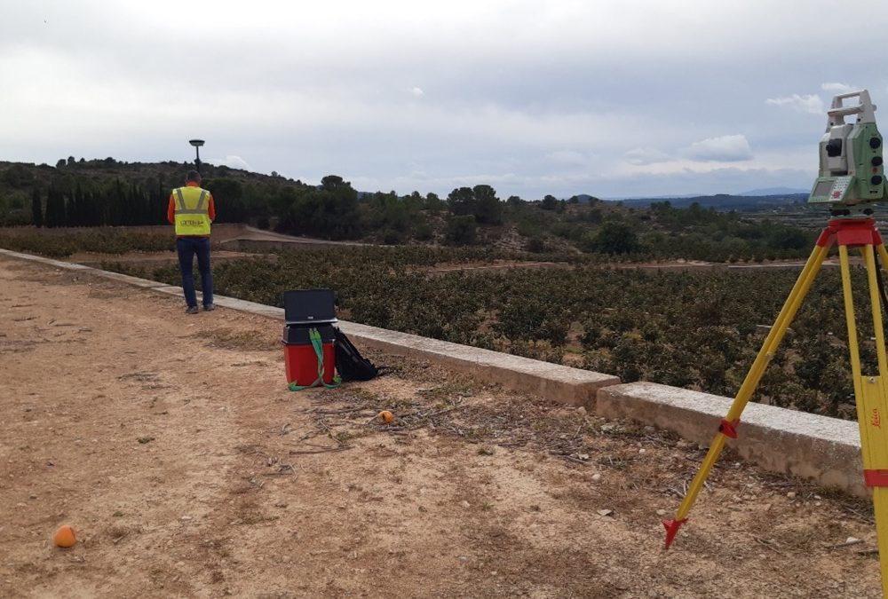 Levantamiento topográfico, transformación y replanteos para nueva plantación.